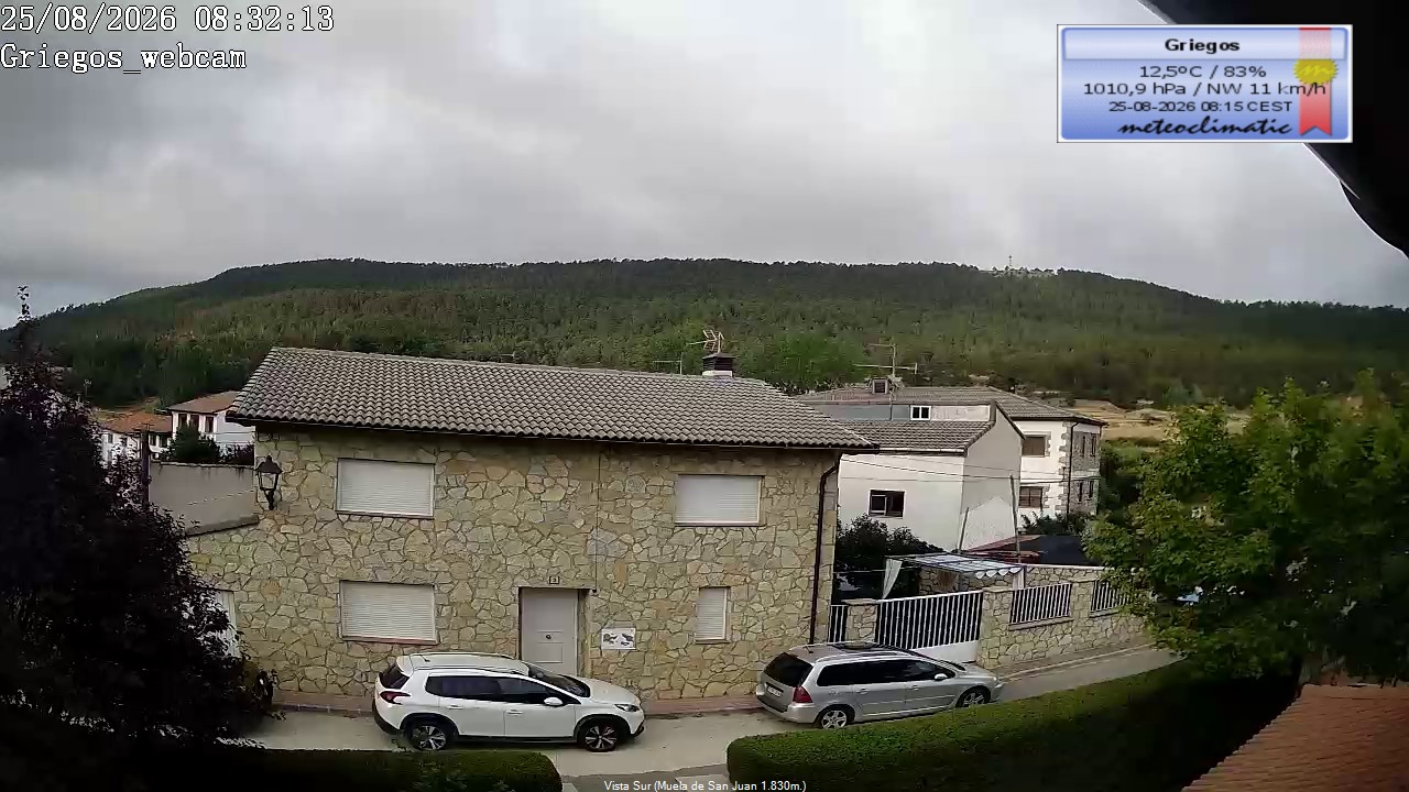 Webcam en Griegos - La Muela