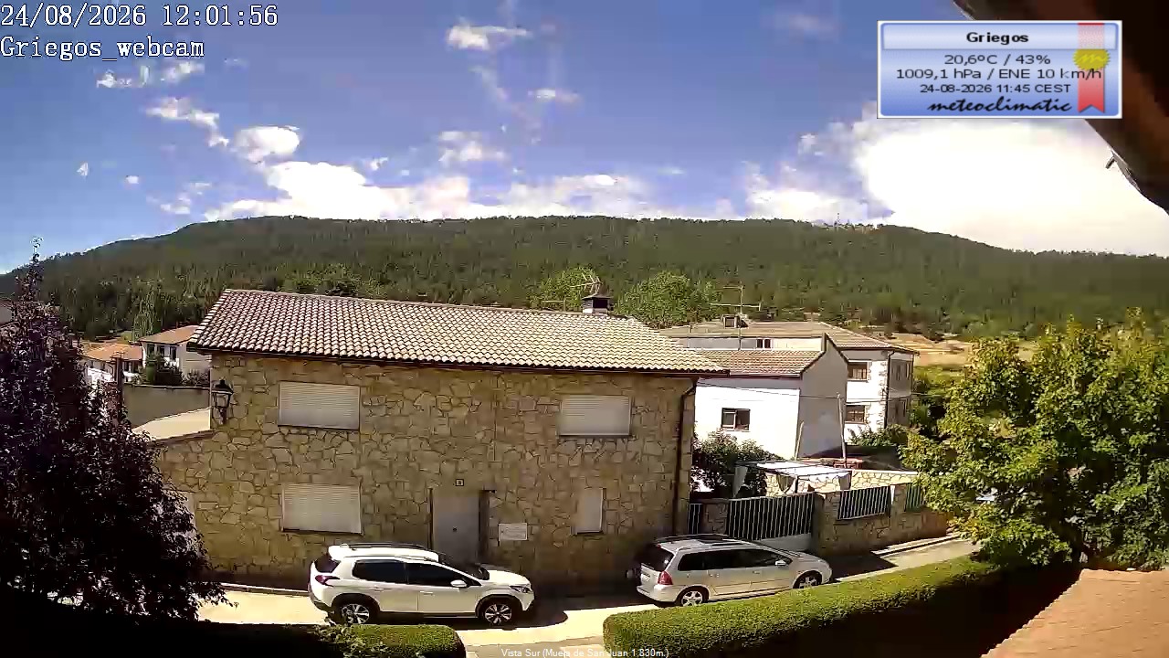 Webcam en Griegos - La Muela